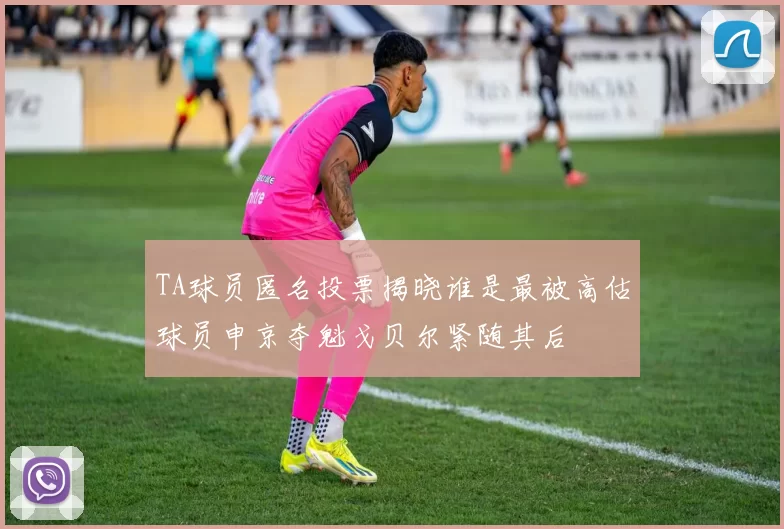 TA球员匿名投票揭晓谁是最被高估球员申京夺魁戈贝尔紧随其后