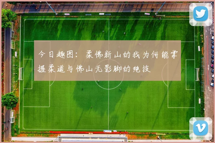 今日趣图：柔佛新山的我为何能掌握柔道与佛山无影脚的绝技
